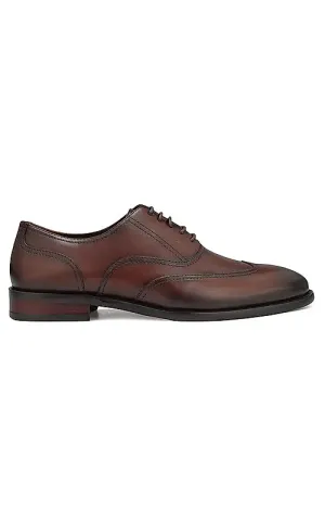 Coffee  Leather Derby Shoes