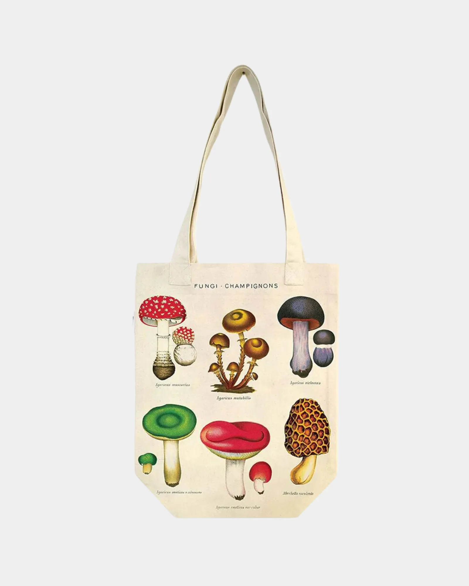 MUSHROOMS - TOTE BAG