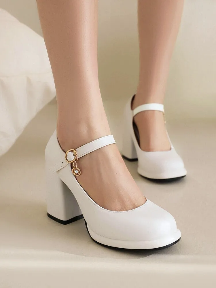 Women's Round Toe Shallow Mary Janes Block Chunky Heel Platform Pumps