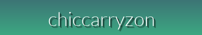 Trendy Bags for Work & Travel | Hot Sale Leather & Canvas Picks – ChicCarryZone